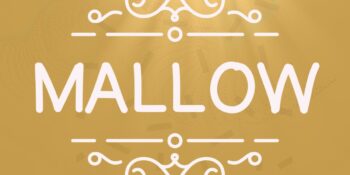 Mallow